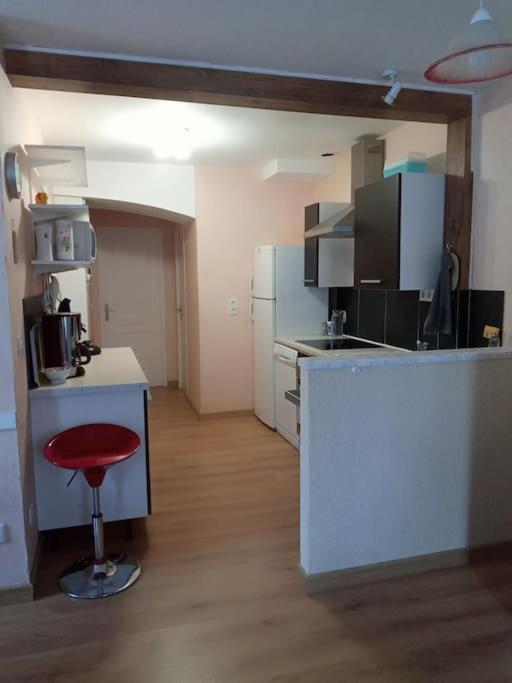 Residence Gascogne, Appartement Rose Boreal Eaux-Bonnes Esterno foto