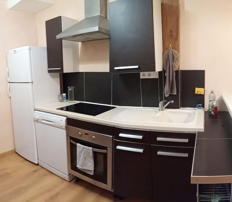 Residence Gascogne, Appartement Rose Boreal Eaux-Bonnes Esterno foto